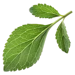 Imagen PNG para descargar